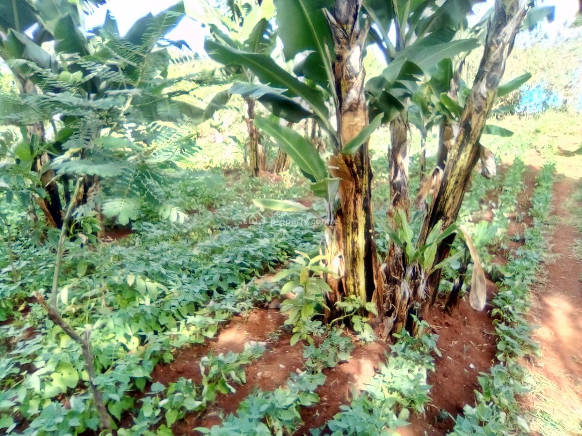50x100 Feet Plots., Ruthimitu, Kikuyu, Kiambu, Residential Land for Sale
