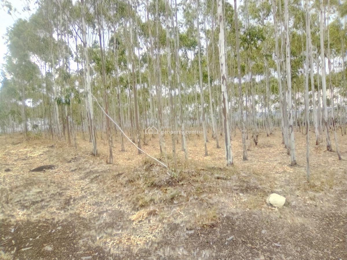 1/4 Acre Plots., Rangao., Ongata Rongai, Kajiado, Residential Land for Sale