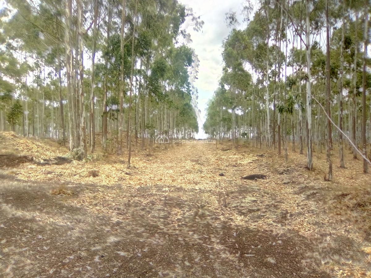 1/4 Acre Plots., Rangao., Ongata Rongai, Kajiado, Residential Land for Sale