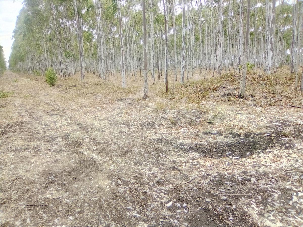 1/4 Acre Plots., Rangao., Ongata Rongai, Kajiado, Residential Land for Sale