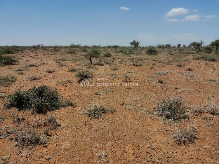 20 Acres of Land, Ewauso Kedong, Ewuaso Oonkidongi, Kajiado, Mixed-use Land for Sale