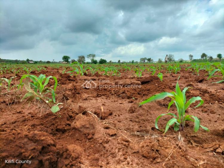 For Sale Prime Agricultural Land, Malindi Town, Kilifi Kenya