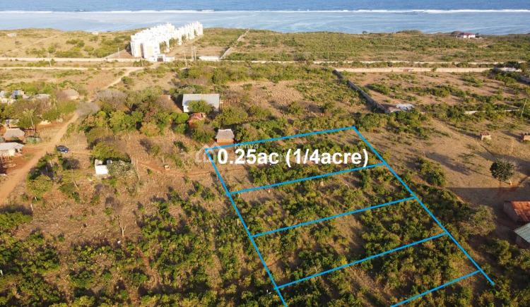 Prime 0.5 Acre Near to Sandy Beach, Ls124 Kikambala, Mtwapa, Kilifi, Land for Sale