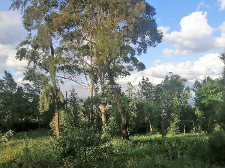 For Sale Three Acres Of Land At The Bottom Of Ngong Hills, Ngong