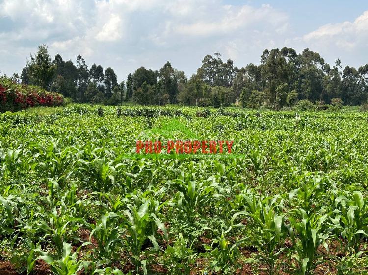 Prime Residential 1 Acre Land, Rironi, Limuru Central, Kiambu, Residential Land for Sale