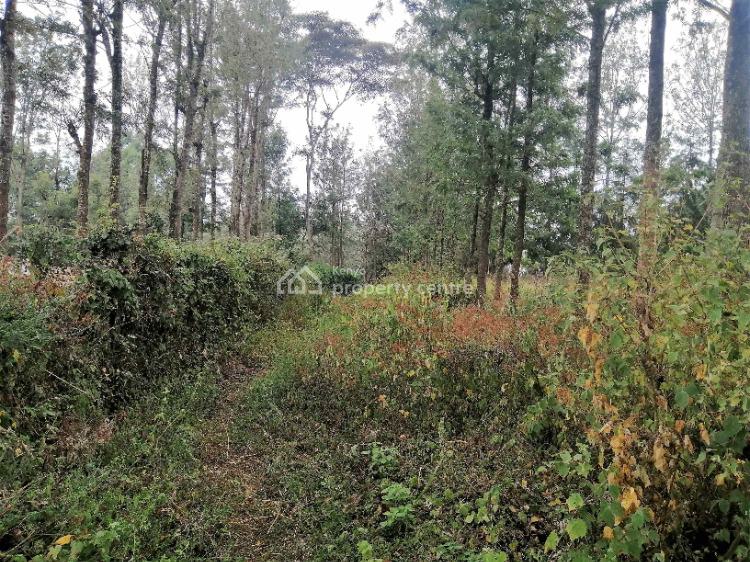 Half-acre Plot, Olkeri, Ngong, Kajiado, Residential Land for Sale