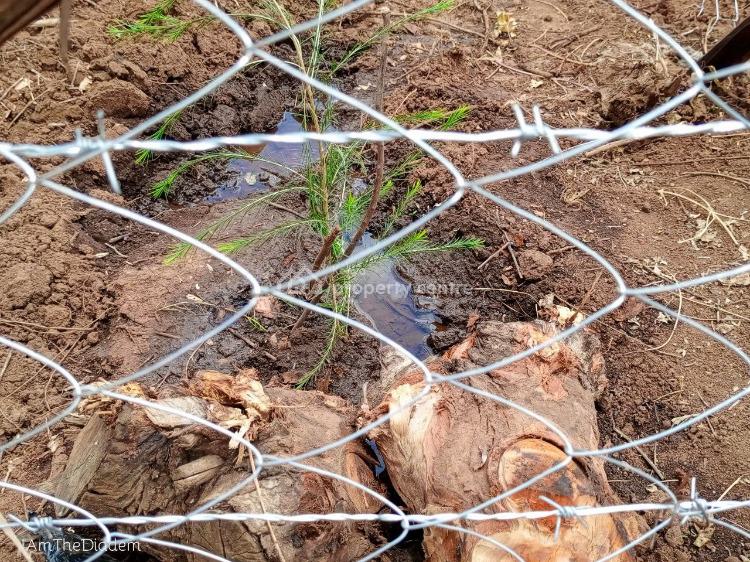 Land, Rosegate, Kikuyu, Kiambu, Mixed-use Land for Sale