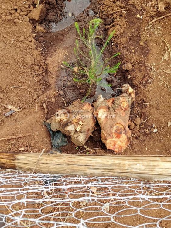 Land, Rosegate, Kikuyu, Kiambu, Mixed-use Land for Sale