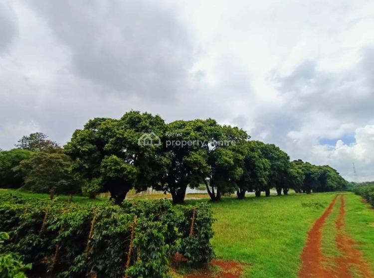 a Half and Quarter Plots, Gatundu Road, Juja, Kiambu, Land for Sale