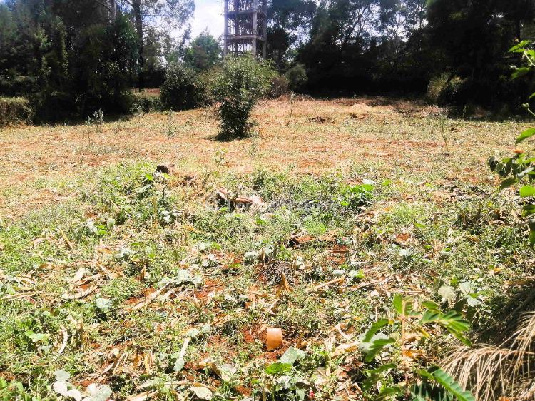 For Sale 100 X100 Plot In Lemiso Road Ngong, Lemiso, Ngong, Kajiado