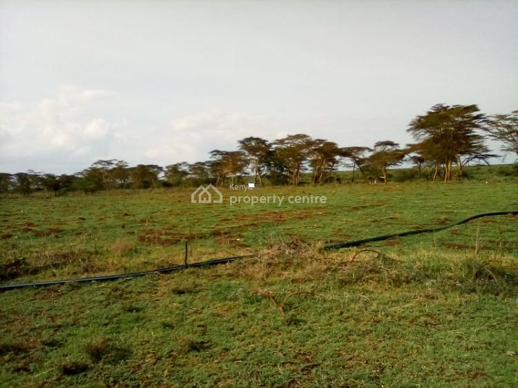 4,200 Acres of Land, Nanyuki-rumuruti Road, Rumuruti Township, Laikipia, Land for Sale