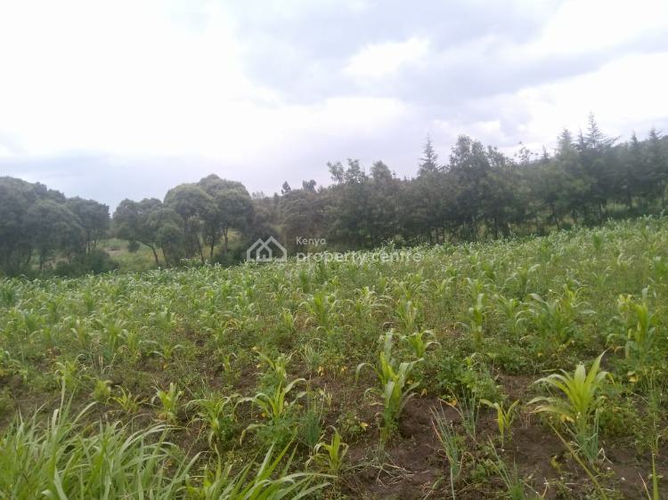 For Sale 1/2 An Acre Of Land, Naivasha, Naivasha East, Nakuru Kenya