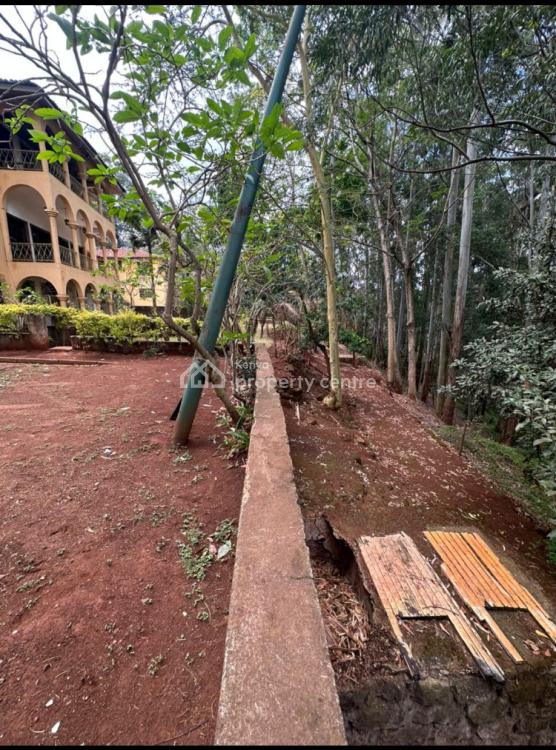 For Sale 1.6acres Land With 14 Bedroom Old House In Peponi Rd Spring