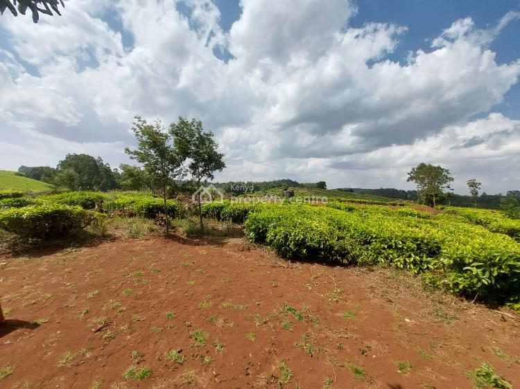 For Sale Half Acre Plots In Tigoni, Tigoni, Tigoni, Kiambu Kenya