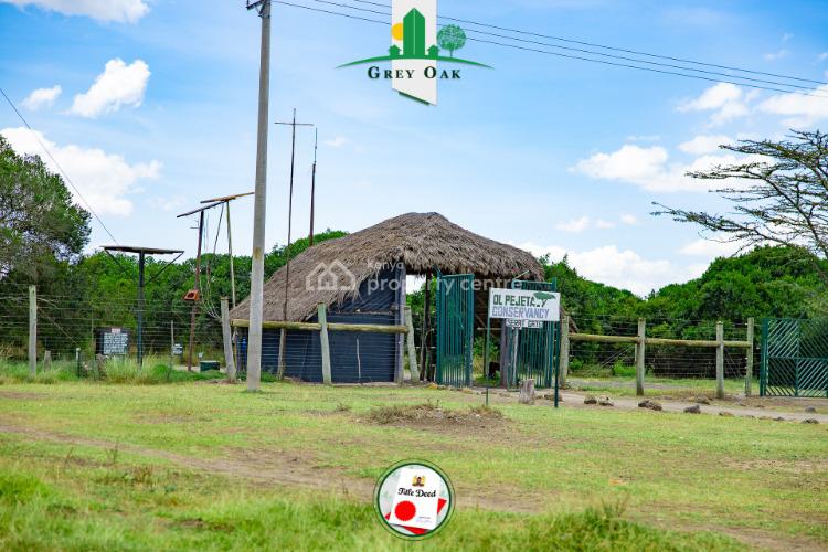 For Sale Sunset Gardens Nanyuki (1/8th Acre Size Plots ), Ol Pajeta