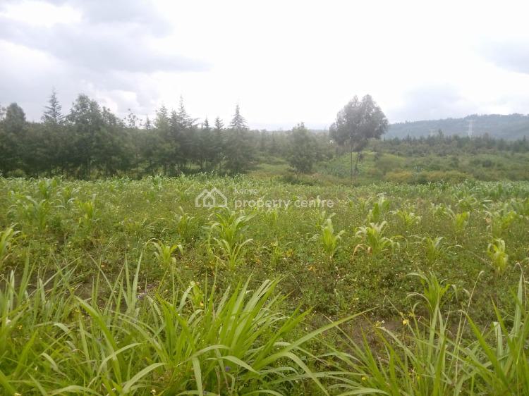 1/2 an Acre, Naivasha East, Nakuru, Mixed-use Land for Sale