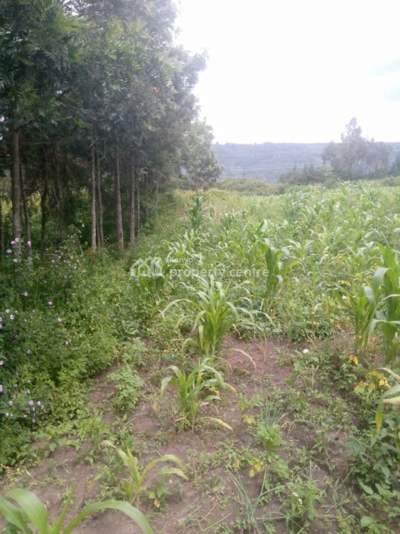 1/2 an Acre, Naivasha East, Nakuru, Mixed-use Land for Sale