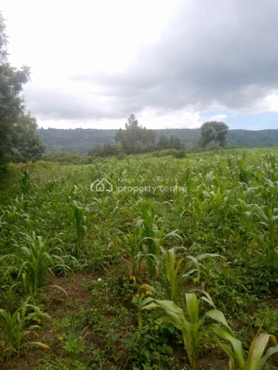 1/2 an Acre, Naivasha East, Nakuru, Mixed-use Land for Sale