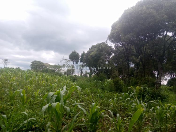 1/2 an Acre, Naivasha East, Nakuru, Mixed-use Land for Sale