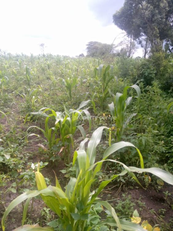 1/2 an Acre, Naivasha East, Nakuru, Mixed-use Land for Sale