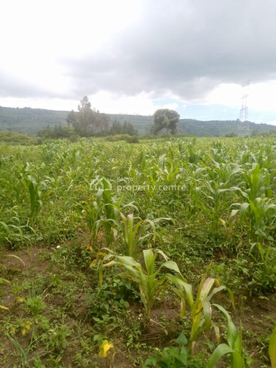 1/2 an Acre, Naivasha East, Nakuru, Mixed-use Land for Sale