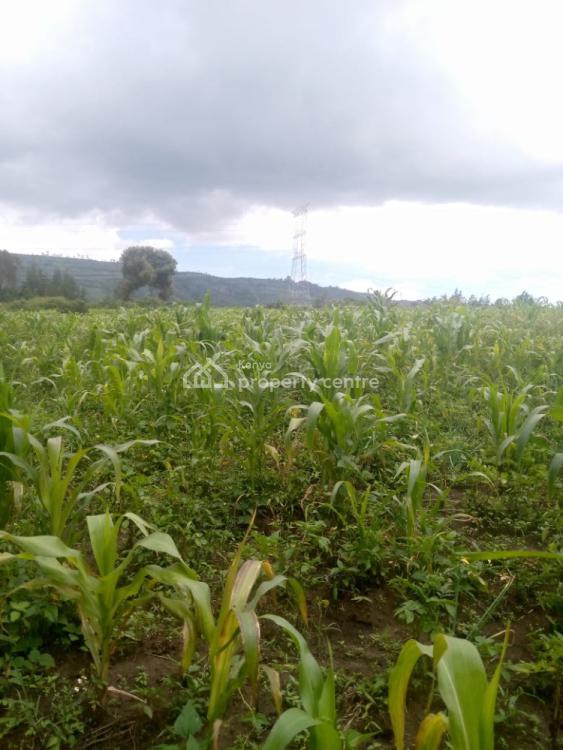 1/2 an Acre, Naivasha East, Nakuru, Mixed-use Land for Sale