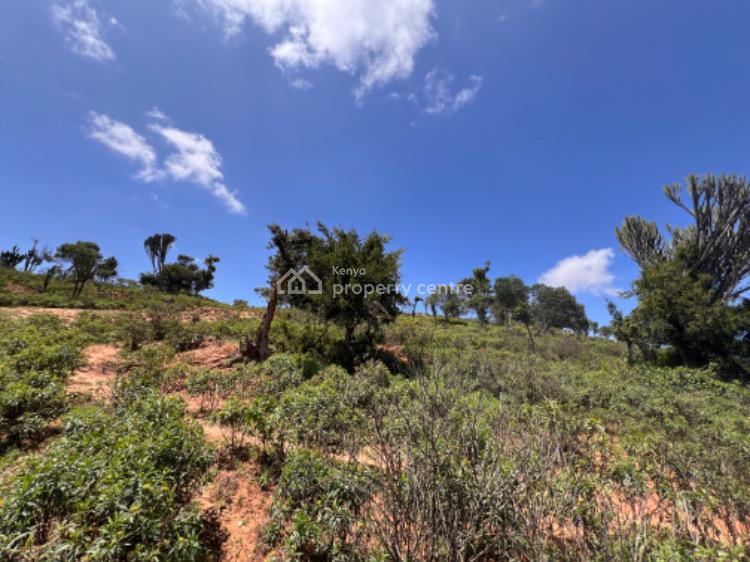 Prime 5 Acres Land, Chumvi Town, Mukogondo East, Laikipia, Mixed-use Land for Sale