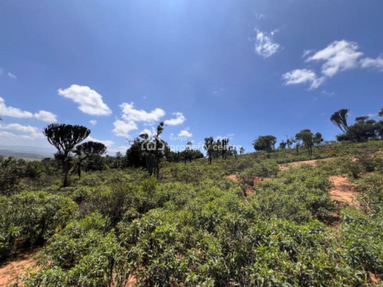 Prime 5 Acres Land, Chumvi Town, Mukogondo East, Laikipia, Mixed-use Land for Sale