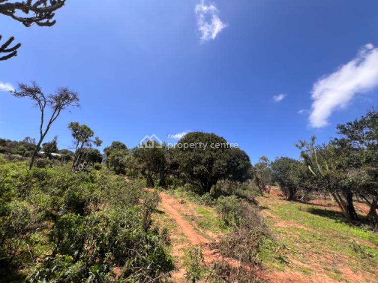 Prime 5 Acres Land, Chumvi Town, Mukogondo East, Laikipia, Mixed-use Land for Sale