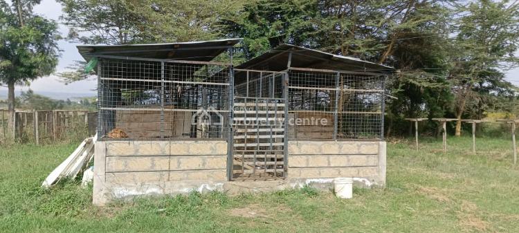 4  Bedroom All Ensuite House, Nakuru, Naivasha East, Nakuru, Townhouse for Sale