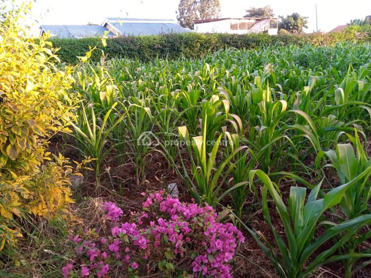 Land in a Fast Growing Environment, Muthure, Gitaru, Kiambu, Land for Sale