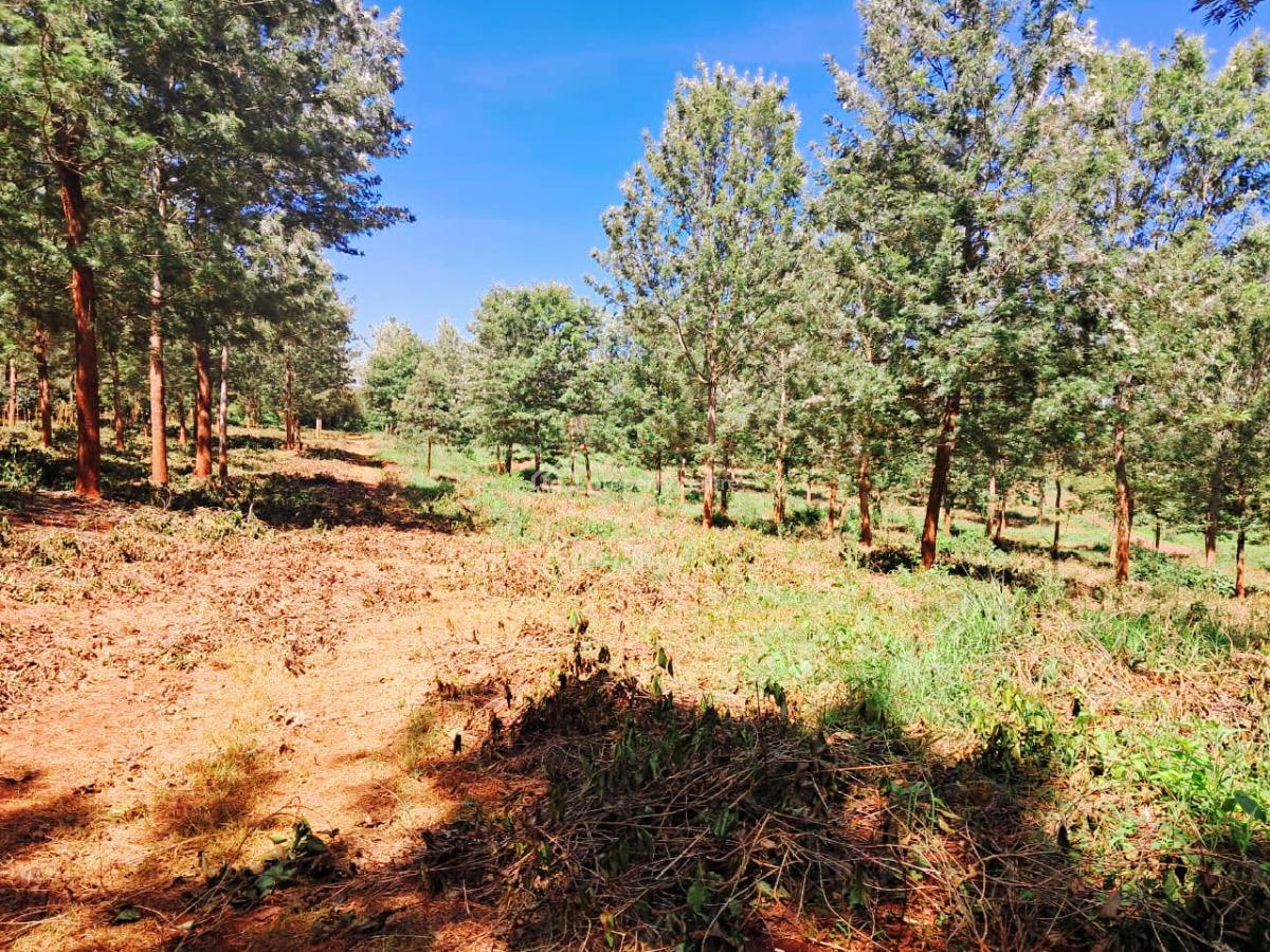 Get in Early, Ayanna Waters Estate, Oaklands, Ruiru, Kiambu, Residential Land for Sale