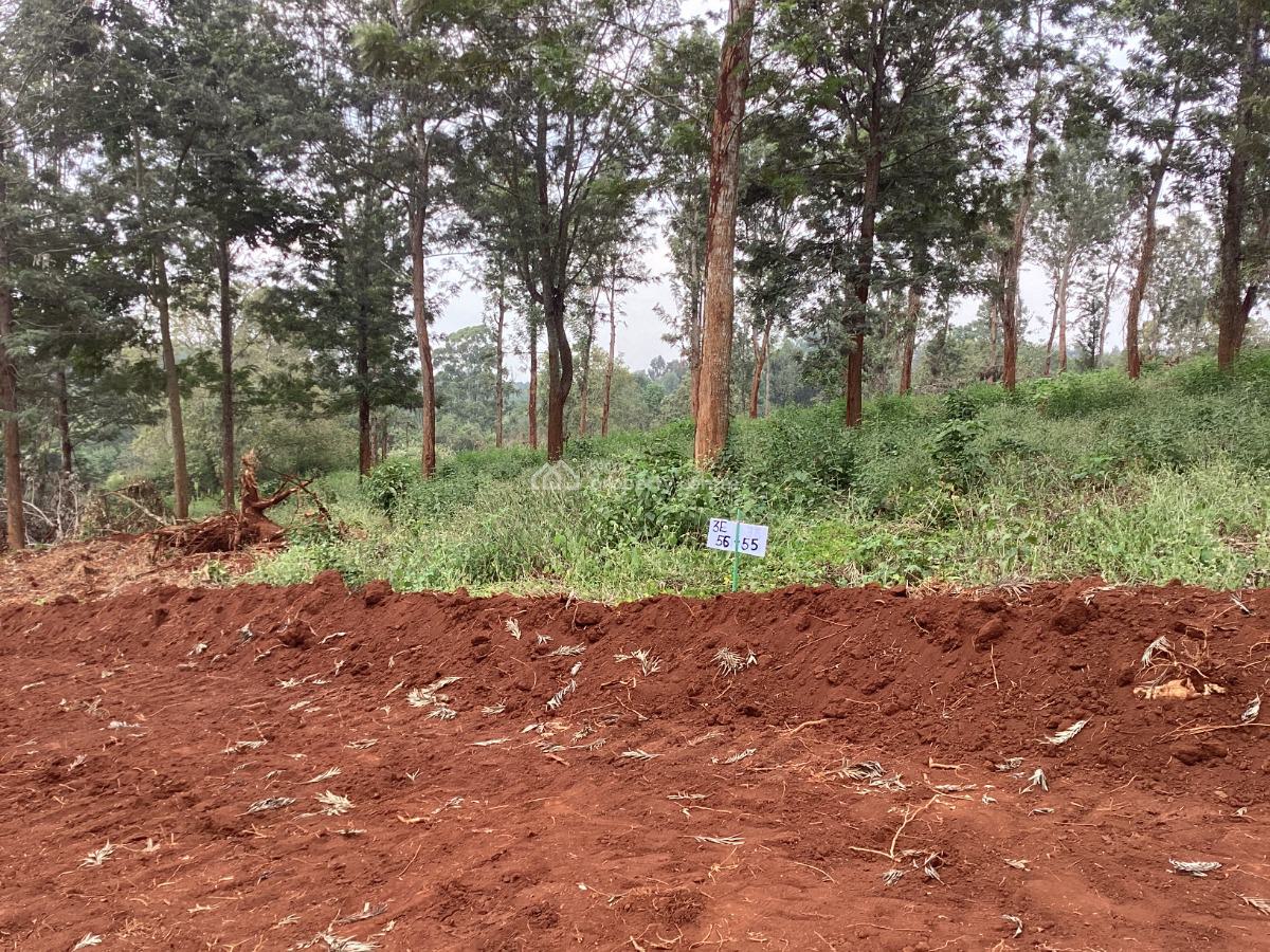 Get in Early, Ayanna Waters Estate, Oaklands, Ruiru, Kiambu, Residential Land for Sale