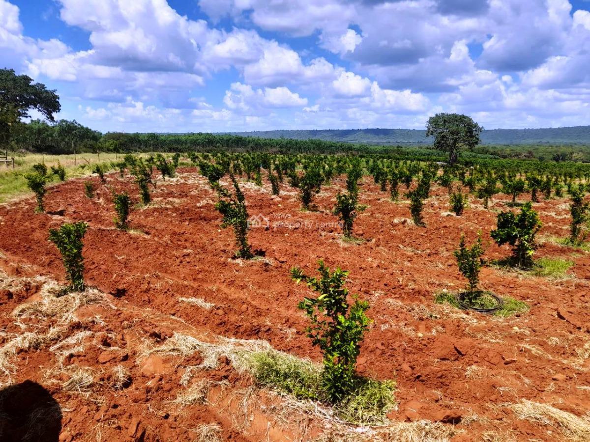 305-acre Farm Opportunity in Makueni County, Mtito Andei, Makindu, Makueni, Mixed-use Land for Sale