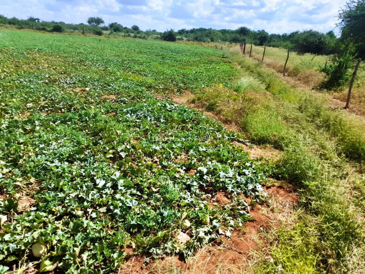 305-acre Farm Opportunity in Makueni County, Mtito Andei, Makindu, Makueni, Mixed-use Land for Sale