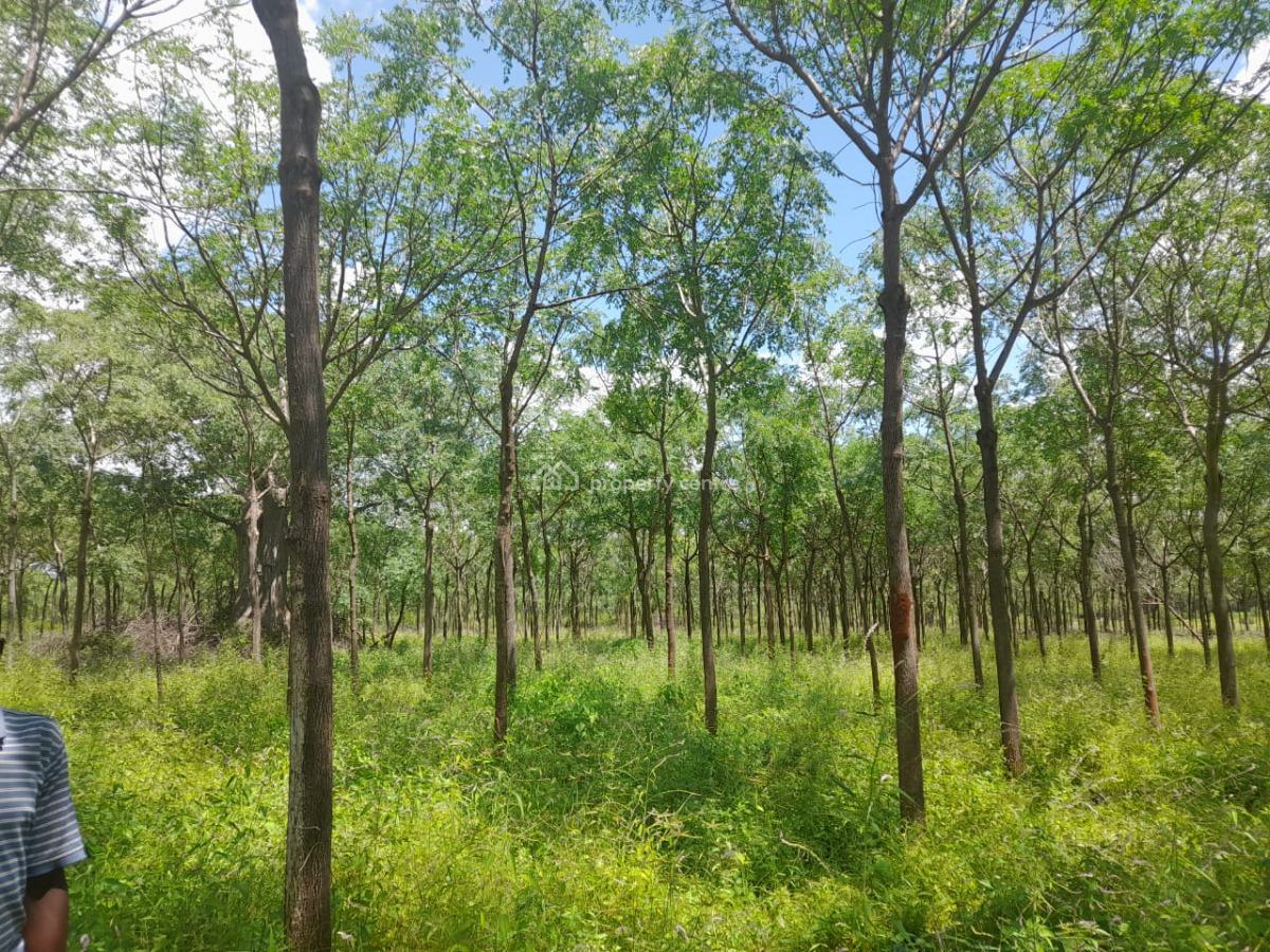 305-acre Farm Opportunity in Makueni County, Mtito Andei, Makindu, Makueni, Mixed-use Land for Sale
