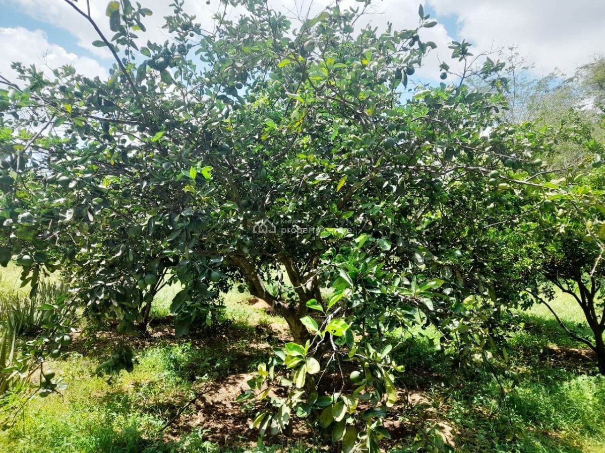 305-acre Agricultural Property with Athi River Frontage, Mtito-andei, Mtito Andei, Makueni County, Makindu, Makueni, Mixed-use Land for Sale