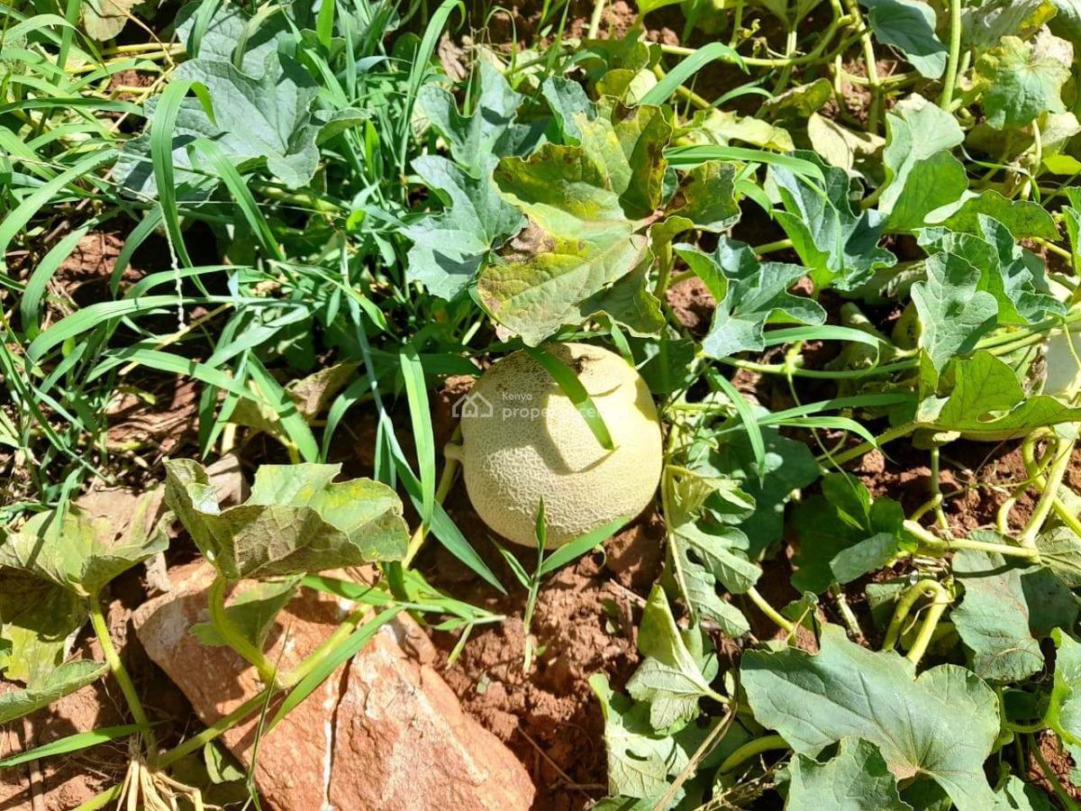 305-acre Agricultural Property with Athi River Frontage, Mtito-andei, Mtito Andei, Makueni County, Makindu, Makueni, Mixed-use Land for Sale