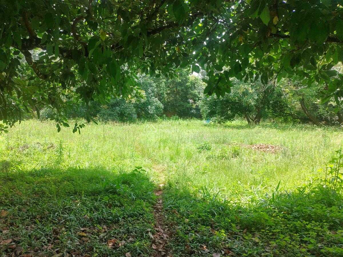 1-acre Plot for Development, Tree Lane, Karen, Nairobi, Residential Land for Sale