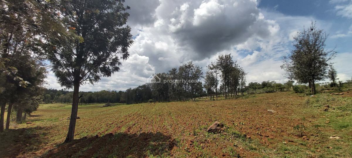 2 Acres, Ntukuruma, Nanyuki, Laikipia, Residential Land for Sale