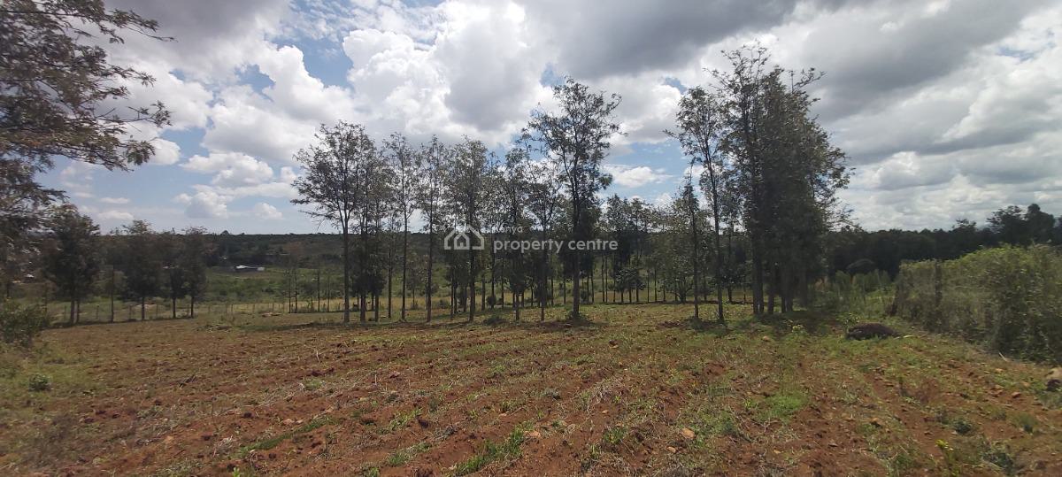 2 Acres, Ntukuruma, Nanyuki, Laikipia, Residential Land for Sale