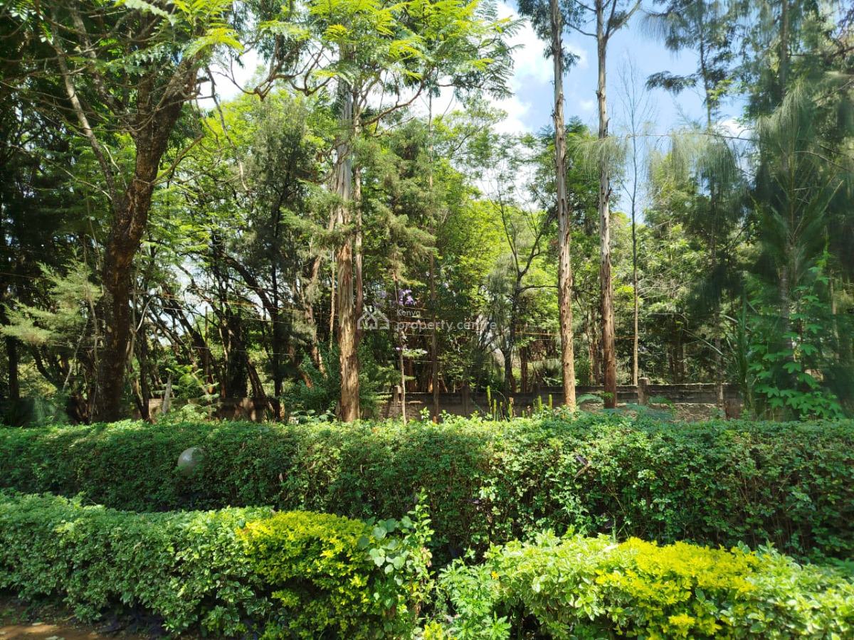 Land  ½ an Acre Red Soil Indigenous Mature Trees Karen 55m, Karen Windy Ridge, Karen, Nairobi, Mixed-use Land for Sale