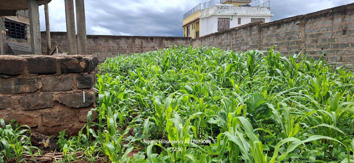 Luxurious Four-bedroom Mansion, Giraffe Drive, Kimuka, Ngong, Kajiado, Detached Duplex for Sale