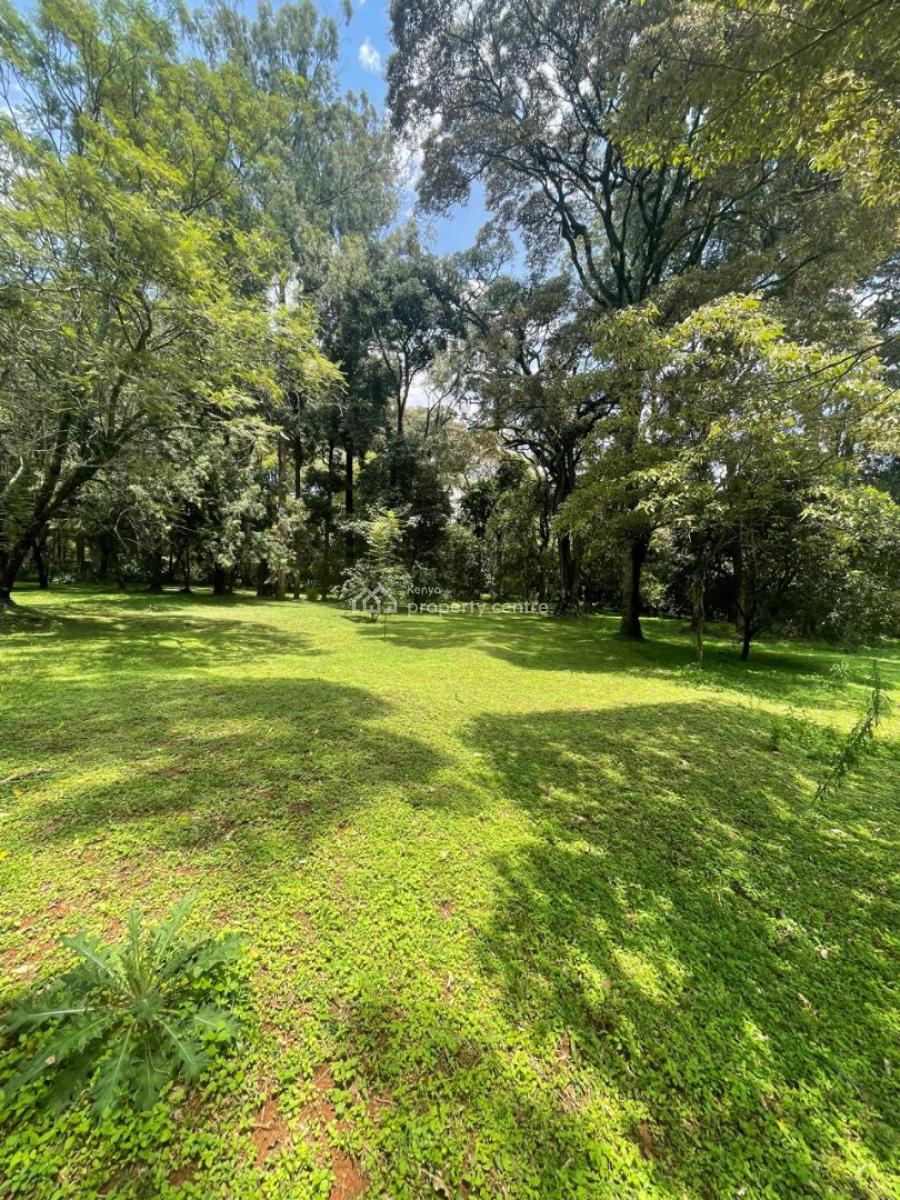 Karen One Acrea Located Karen Mwitu with Trees Red Soil, Karen, Karen, Nairobi, Mixed-use Land for Sale