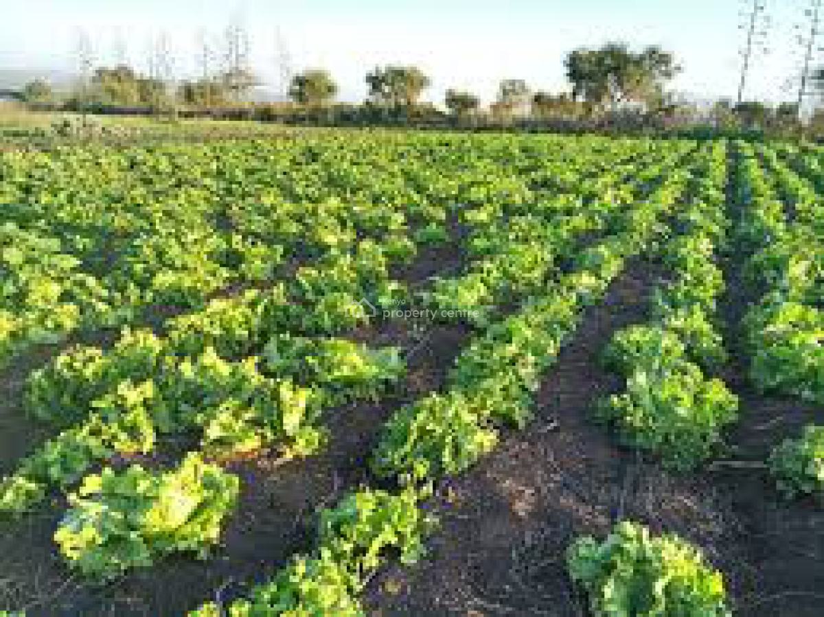 Maasai Echo Lodge Resort Hotel on a 55acre Land in Kajiado, Kajiado Town, Kitengela, Kajiado, Hotel / Guest House for Sale