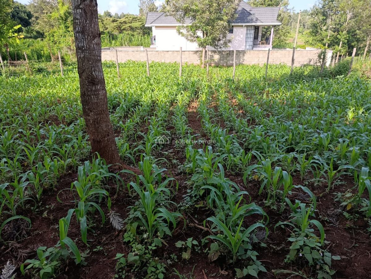 Prime 1/8-acre Residential Plot, Kerarapon Drive, Karen, Nairobi, Land for Sale