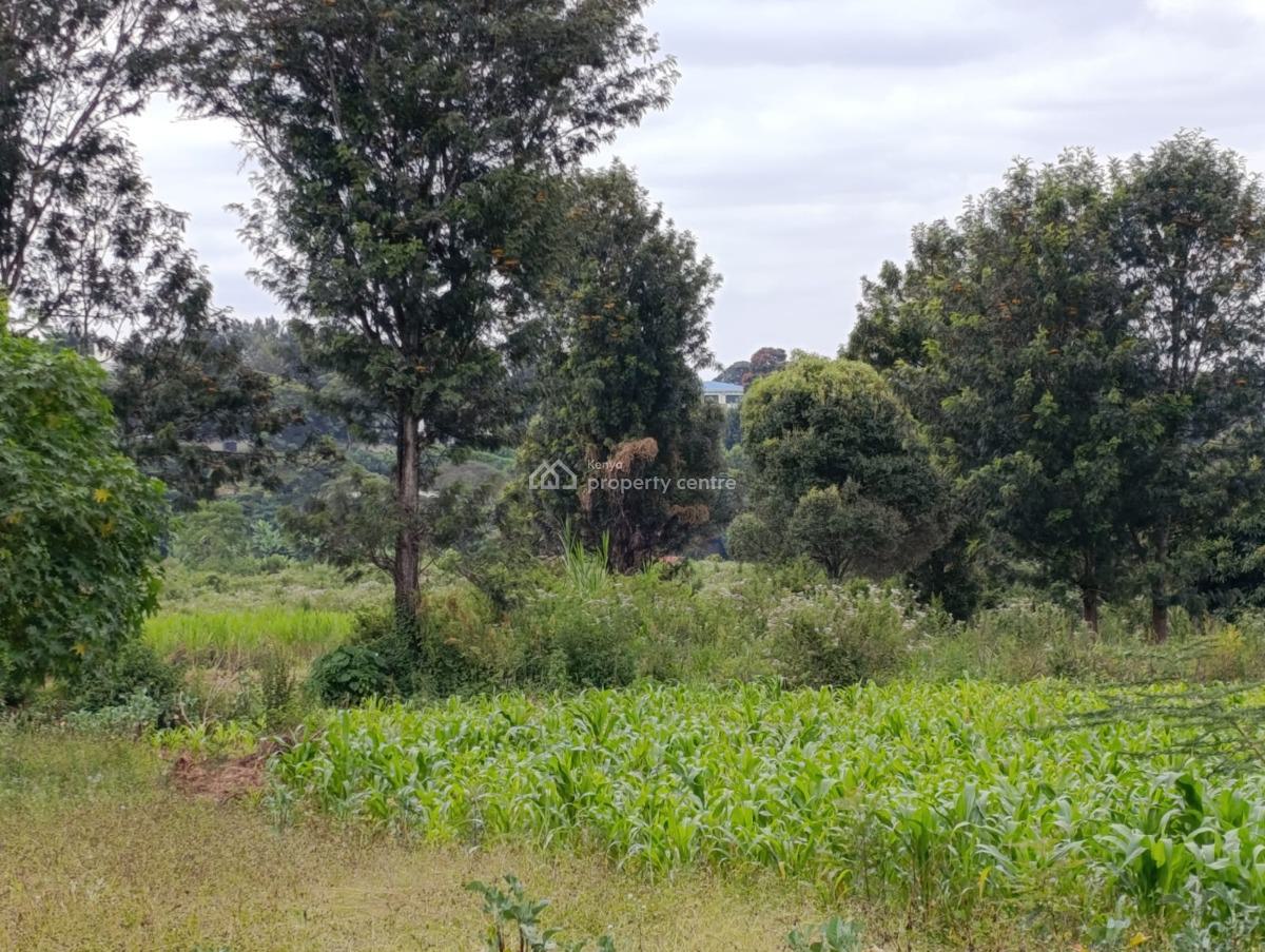 Prime 1-acre Plot, Kerarapon Drive, Karen, Nairobi, Land for Sale
