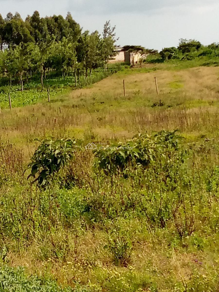 Affordable 50x100(1/8 Acre) Prime Plots, Ndogo Area, Thigio, Kikuyu, Kiambu, Mixed-use Land for Sale