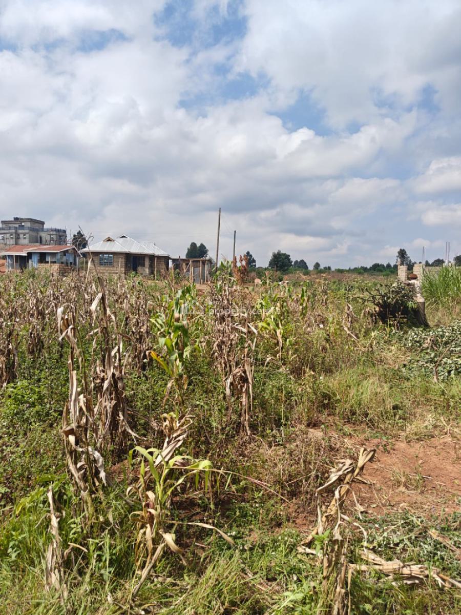 Prime Plots in Lusigetti-just 300km From Tarmac, Lusigetti, Kikuyu, Kiambu, Land for Sale