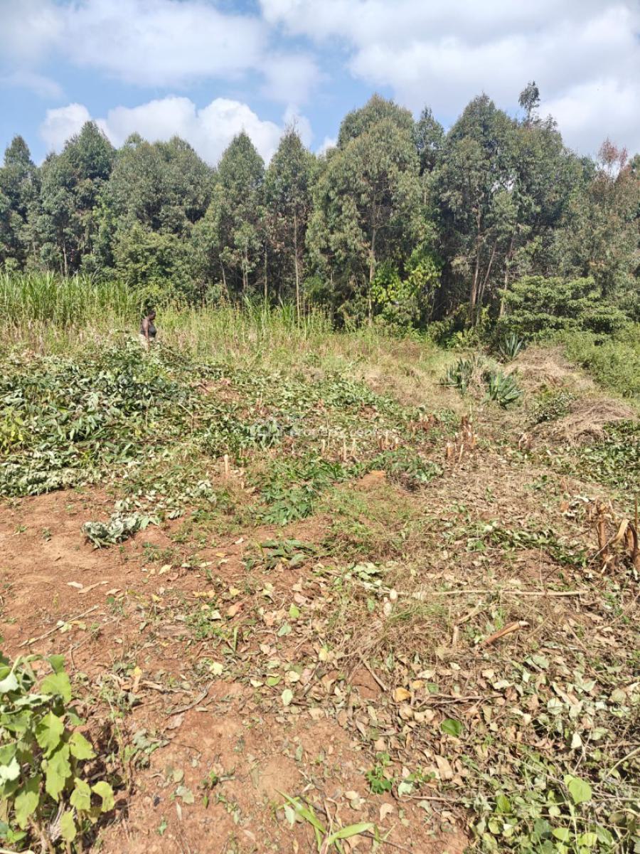 Prime Plots in Lusigetti-just 300km From Tarmac, Lusigetti, Kikuyu, Kiambu, Land for Sale